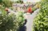 Alderley Road, Dunham Care, p Philosophy PR