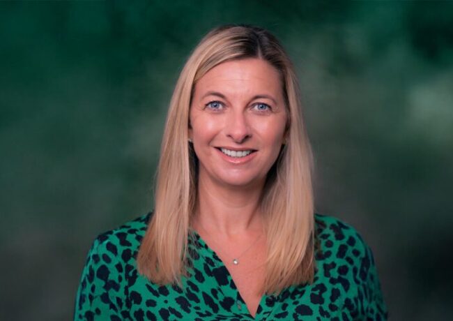 Angela Mansell landscape