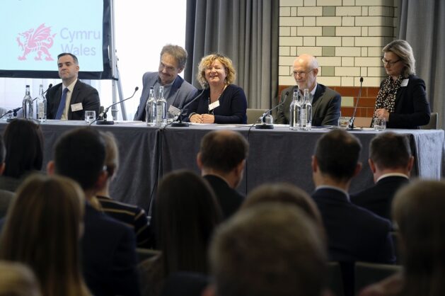 Anglesey Energy: Island