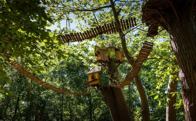 BeWILDerwood Cheshire Twiggles Image Property Of BeWILDerwood Portrait
