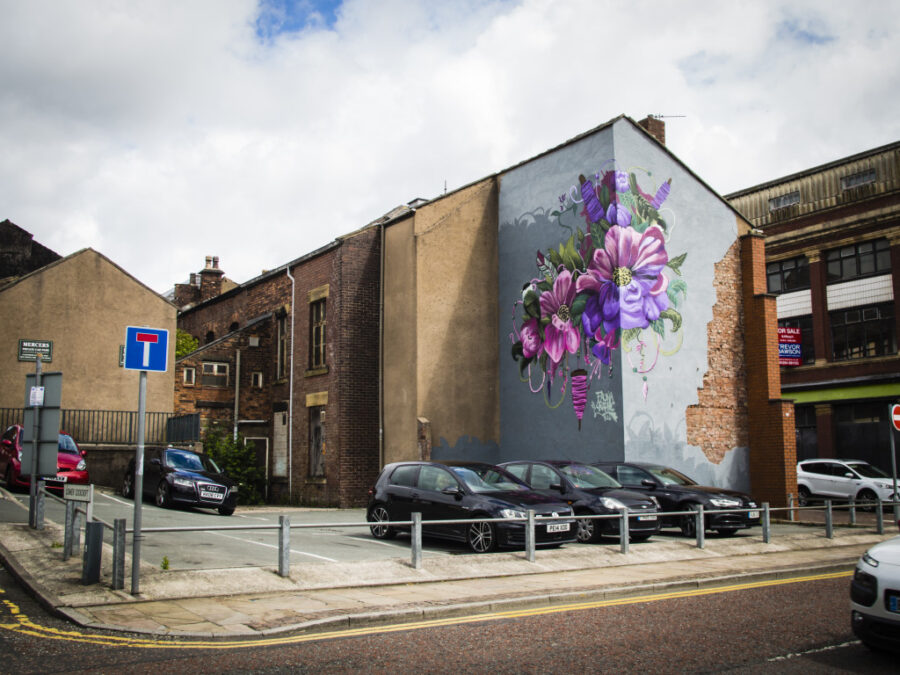 Faunagraphic, street art from last year's Blackburn Open Walls festival