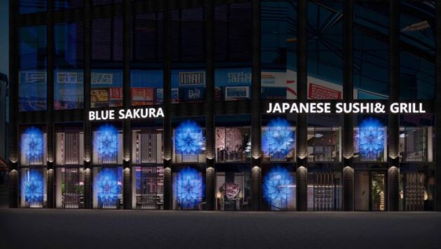 Blue Sakura, p planning docs