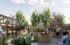 Bupa roof garden at Thrive, Bupa, p Uni of Salford