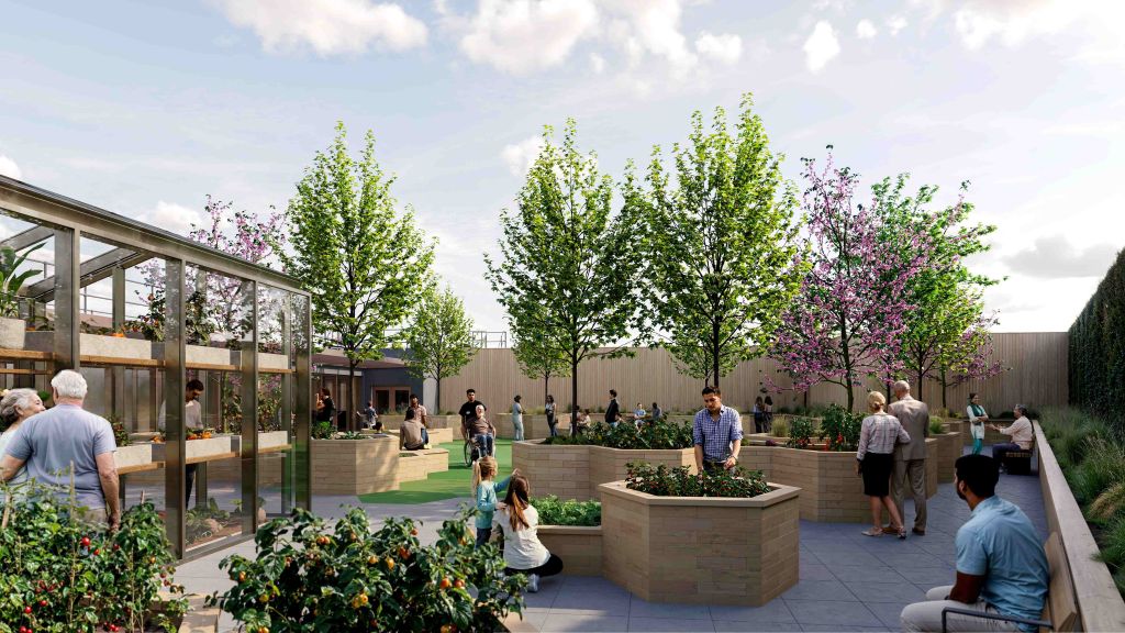 Bupa roof garden at Thrive, Bupa, p Uni of Salford