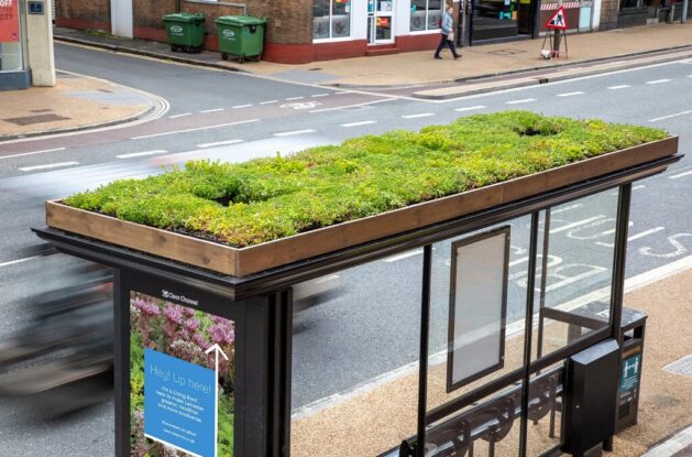 Bus shelter living roof, p Chorley Council
