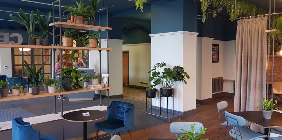 Cotton Ex Reception Unveil 1