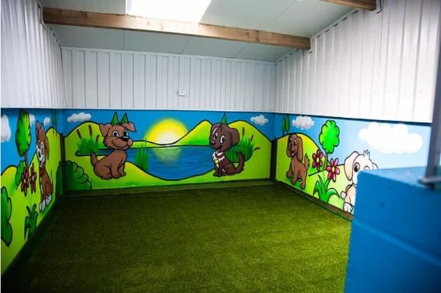 Cumbria Dog Hotel Indoor Play Area
