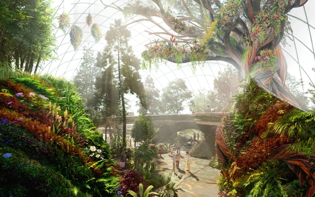 Eden Project Morecambe The Elder Tree concept art, Eden Project Morecambe, p Eden Project Morecambe