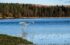 Entwistle Reservoir, United Utilities, c Peter McDermott via Geograph, CC BY SA . bit.ly SLASH MVQefT