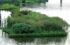 Floating Wetlands in Sengkang, c Daniel Prostak on Wikimedia Commons, CC BY SA . bit.ly SLASH RrkSAN