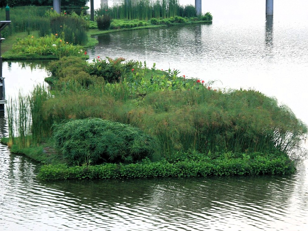 Floating Wetlands in Sengkang, c Daniel Prostak on Wikimedia Commons, CC BY SA . bit.ly SLASH RrkSAN