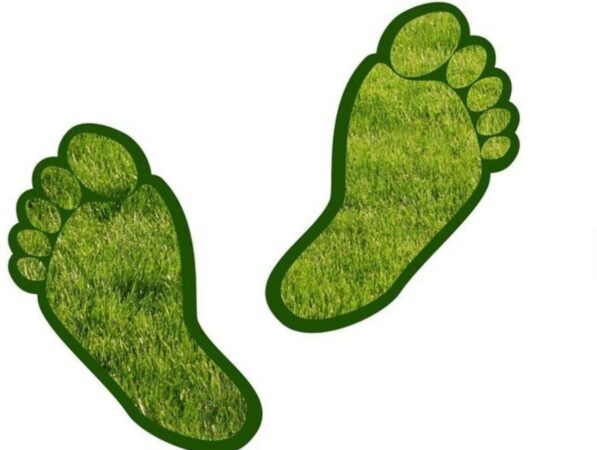 Green Carbon Footprint TheSubplot 31.08.21