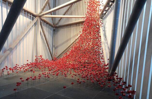 Imperial War Museum North Poppies, Red Tree, P Red Tree