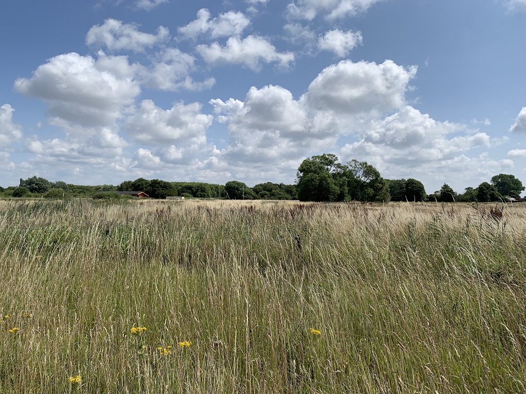 Land at Lunt, National Trust, p National Trust