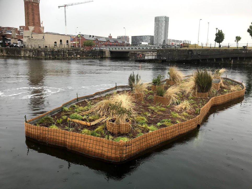 Liverpool ecosystem at Wapping Dock, c Liverpool BID