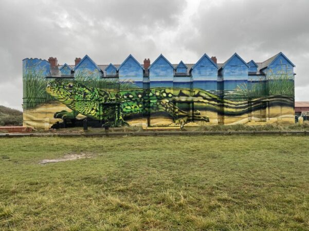 Lizard Mural, Sefton, P.Sefton