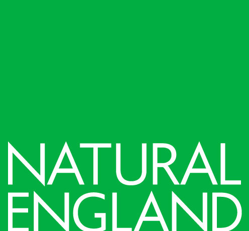 Natural England logo