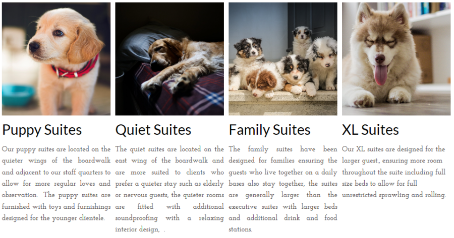 Puppy Suites