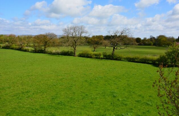 REJECTED 111 Houses On Whittingham Lane In Broughton, Andy Bradshaw, P Planning Documents