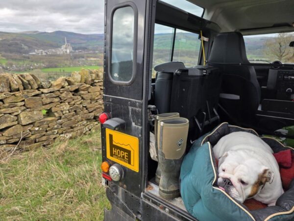 Rosie the bulldog, c Hope Architects