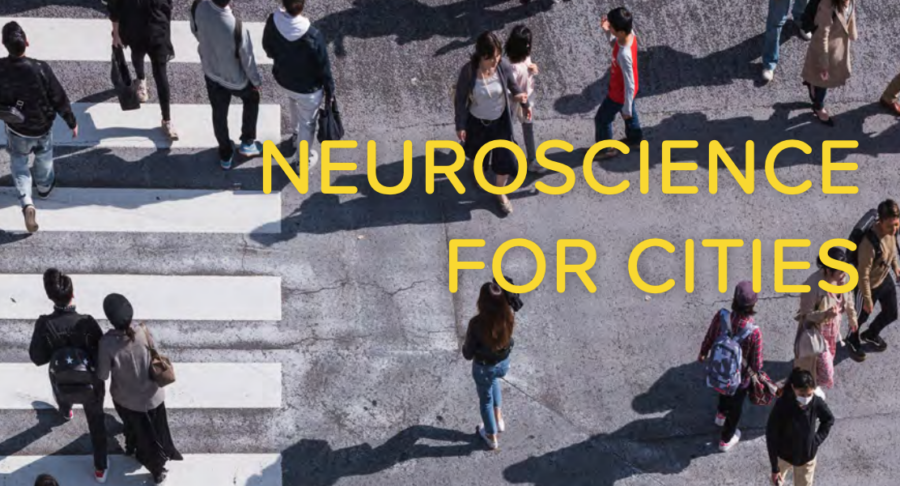 Screenshot 2019 08 30 At 10.31.24