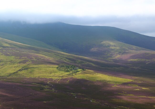 Skiddaw Forest Mitchells Land and Property