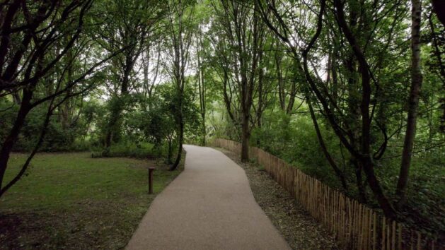 St Catherines Wood Walkway, MCC, p MCC