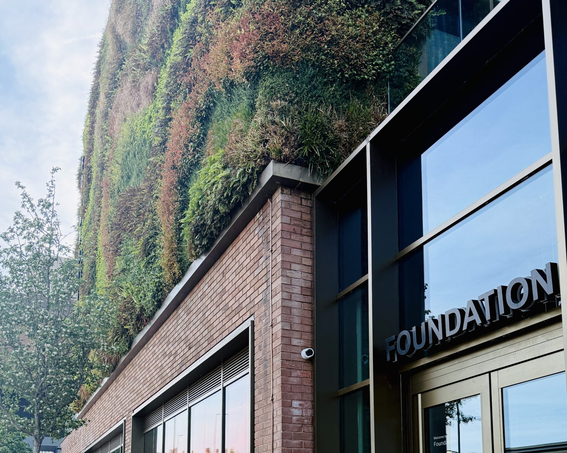TGG foundation , Bruntwood, p via CityPress