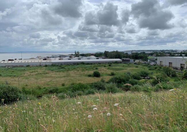 Covanta Bromborough Dock plant site Nov 2022. View of site from Port Sunlight. p planning documents