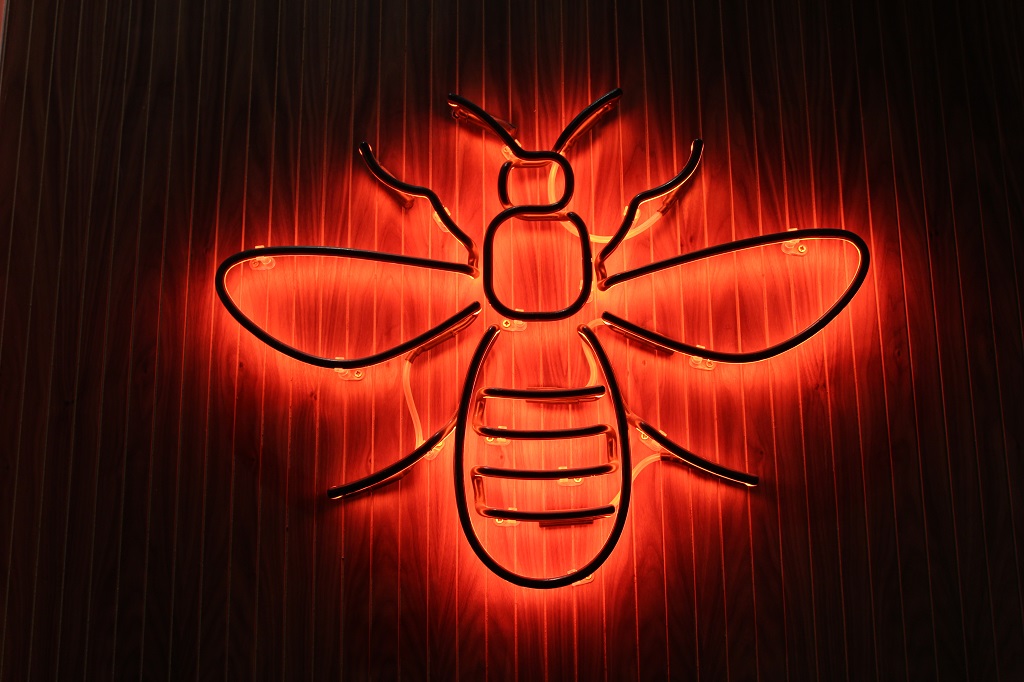 WeWork's office was designed by Interior Architects, fitted out by TSK