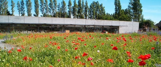 Knowsley's Wildflower Centre to close - Place North West