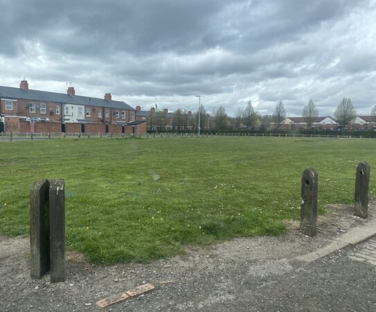 Salix Neighbourhood Site At Present